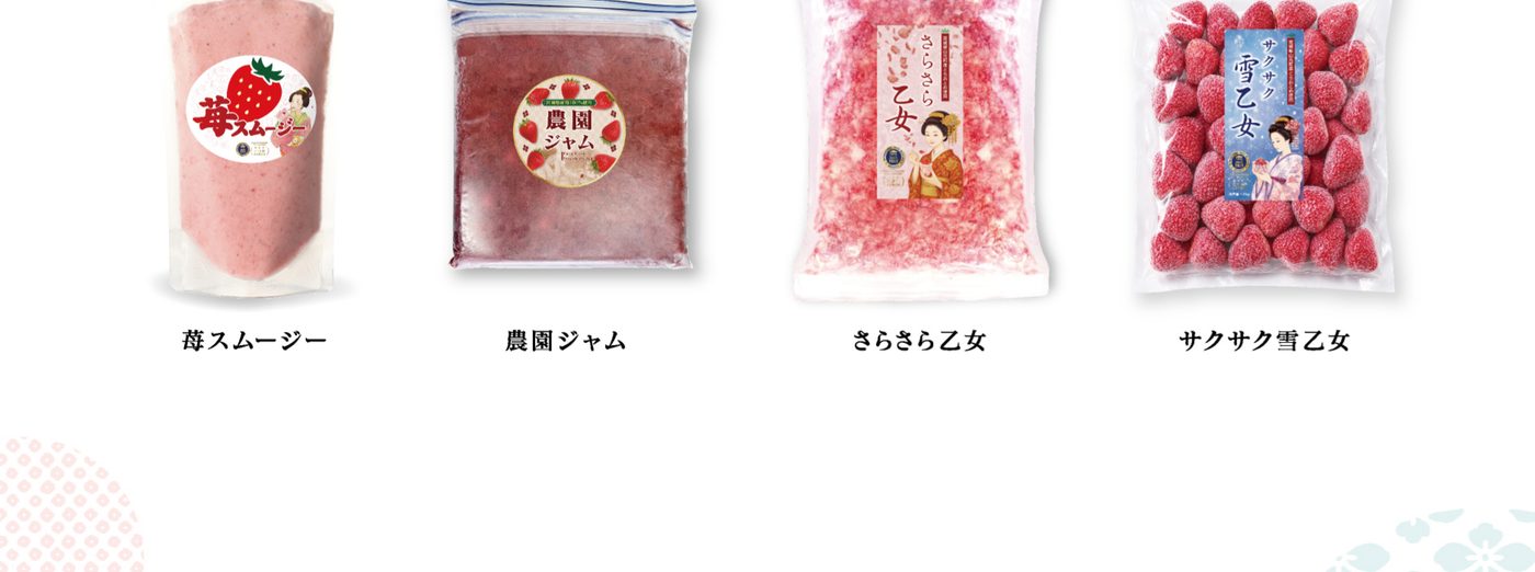 加工食品（冷凍苺） 商品ラインナップ